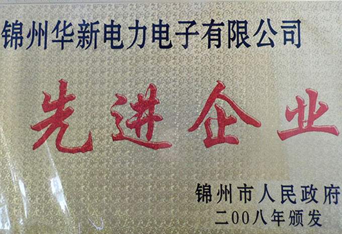 2008先進企業(yè)